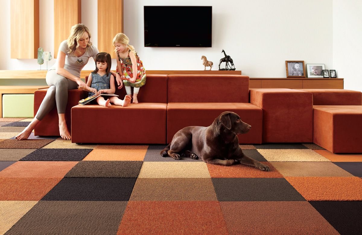 Best Carpet Types for Homes with Pets