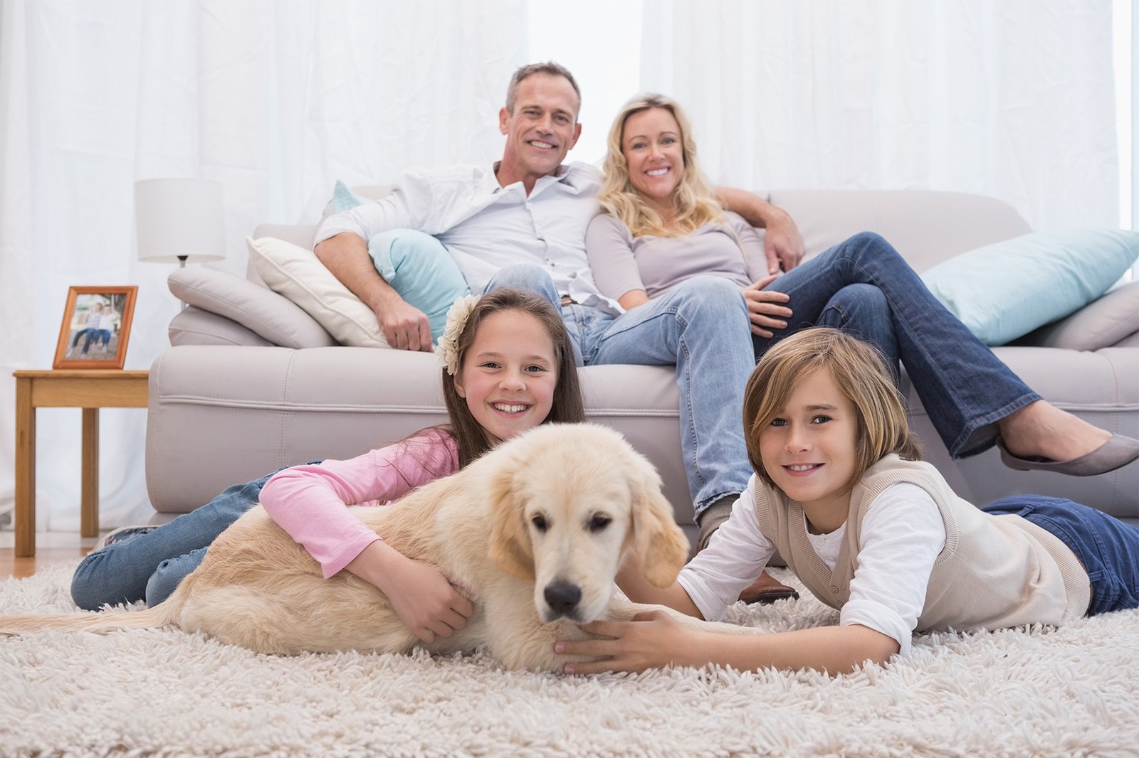 Best Carpets for Homes with Pets